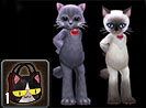 [4+1] Kitty Costume Box