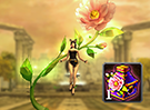 Deep Forest Mount Random Box